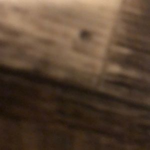 Meet your Posher, Morgan